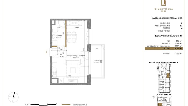 Rzut - Mieszkanie na sprzedaż 1 pokój o powierzchni 29,56 m² - numer C-52 w Cieszyńska 9 budynek B i C