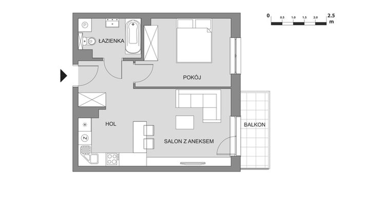 Rzut - Mieszkanie na sprzedaż 2 pokoje o powierzchni 43,88 m² - numer C2.4 w Osiedle Aleksandria II - budynek B