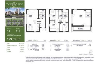 Rzut - Dom na sprzedaż 5 pokoi o powierzchni 129,05 m² - numer 31 w Osiedle Żywiczna