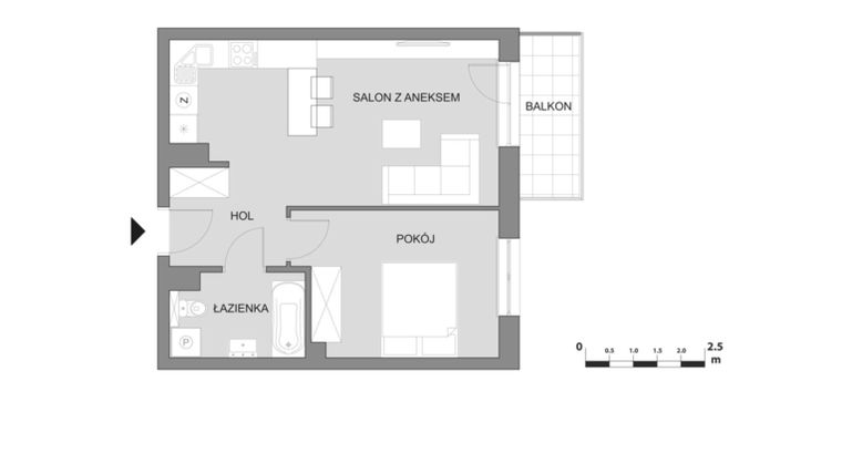 Rzut - Mieszkanie na sprzedaż 2 pokoje o powierzchni 43,89 m² - numer C3.1 w Osiedle Aleksandria II - budynek B