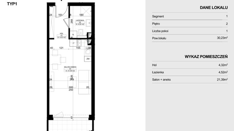 Rzut - Mieszkanie na sprzedaż 1 pokój o powierzchni 30,23 m² - numer P.91 w Ogrodowa 1