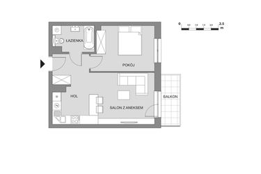 Rzut - Mieszkanie na sprzedaż 2 pokoje o powierzchni 43,88 m² - numer C2.4 w Osiedle Aleksandria II - budynek B