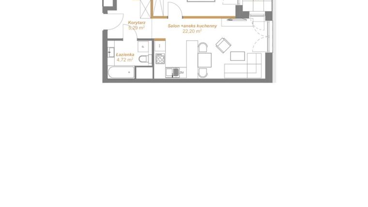 Rzut - Mieszkanie na sprzedaż 2 pokoje o powierzchni 48,89 m² - numer C1.06 w Dobrynów