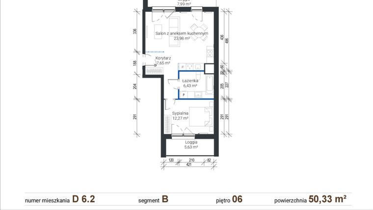 Rzut - Mieszkanie na sprzedaż 2 pokoje o powierzchni 50,33 m² - numer D 6.2 w Nowe Zabłocie