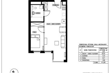 Rzut - Mieszkanie na sprzedaż 1 pokój o powierzchni 41,8 m² - numer 9 w Nowa Kurkowa