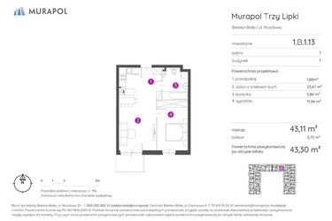 Rzut - Mieszkanie na sprzedaż 2 pokoje o powierzchni 43,3 m² - numer 1.B.1.13 w Murapol Trzy Lipki