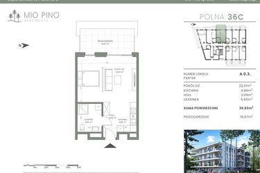 Rzut - Mieszkanie na sprzedaż 2 pokoje o powierzchni 36,83 m² - numer 0.3 w Mio Pino