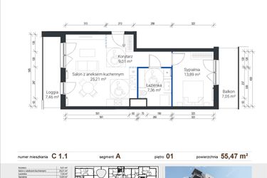 Rzut - Mieszkanie na sprzedaż 2 pokoje o powierzchni 55,47 m² - numer C 1.1 w Nowe Zabłocie