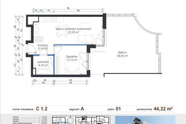 Rzut - Mieszkanie na sprzedaż 2 pokoje o powierzchni 44,32 m² - numer C 1.2 w Nowe Zabłocie