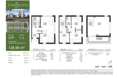 Rzut - Dom na sprzedaż 5 pokoi o powierzchni 128,96 m² - numer 31F w Osiedle Żywiczna