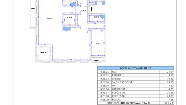 Rzut - Mieszkanie na sprzedaż 2 pokoje o powierzchni 175,42 m² - numer B.28 w Gaja Park