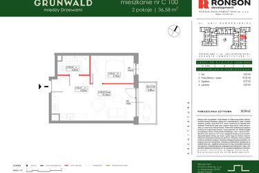 Rzut - Mieszkanie na sprzedaż 2 pokoje o powierzchni 36,58 m² - numer C100 w Grunwald Między Drzewami etap III