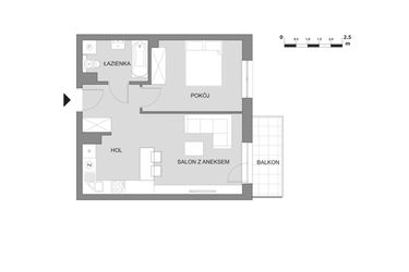 Rzut - Mieszkanie na sprzedaż 2 pokoje o powierzchni 43,89 m² - numer C4.3 w Osiedle Aleksandria II - budynek B