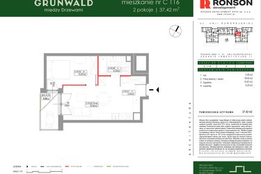 Rzut - Mieszkanie na sprzedaż 2 pokoje o powierzchni 37,42 m² - numer C116 w Grunwald Między Drzewami etap III