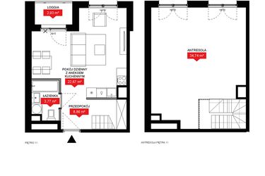 Rzut - Mieszkanie na sprzedaż 1 pokój o powierzchni 69,48 m² - numer A2 365 w 29L
