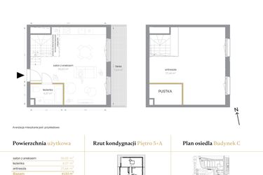 Rzut - Mieszkanie na sprzedaż 1 pokój o powierzchni 61,53 m² - numer C/63 w Królowej Jadwigi