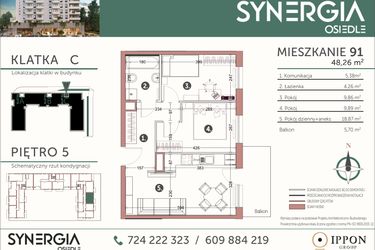 Rzut - Mieszkanie na sprzedaż 3 pokoje o powierzchni 48,26 m² - numer M91 w SYNERGIA