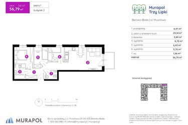 Rzut - Mieszkanie na sprzedaż 4 pokoje o powierzchni 56,79 m² - numer 2.B.1.01 w Murapol Trzy Lipki etap II