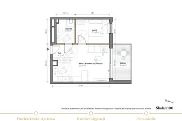Rzut - Mieszkanie na sprzedaż 2 pokoje o powierzchni 44,59 m² - numer C/0/3 w Kopernika 71