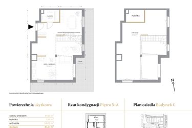 Rzut - Mieszkanie na sprzedaż 1 pokój o powierzchni 87,47 m² - numer C/66 w Królowej Jadwigi