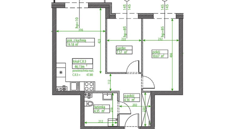 Rzut - Mieszkanie na sprzedaż 2 pokoje o powierzchni 46,06 m² - numer C.II.3 w Osiedle Opolska