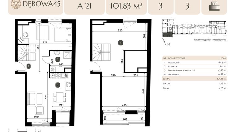 Rzut - Mieszkanie na sprzedaż 2 pokoje o powierzchni 101,83 m² - numer A.21 w Dębowa 45