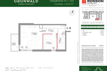 Rzut - Mieszkanie na sprzedaż 2 pokoje o powierzchni 45,32 m² - numer C103 w Grunwald Między Drzewami etap III
