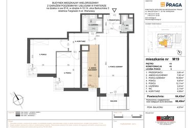 Rzut - Mieszkanie na sprzedaż 3 pokoje o powierzchni 64,44 m² - numer 19 w Barkocińska 3