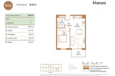 Rzut - Mieszkanie na sprzedaż 2 pokoje o powierzchni 40,52 m² - numer D21-1 w Fauna