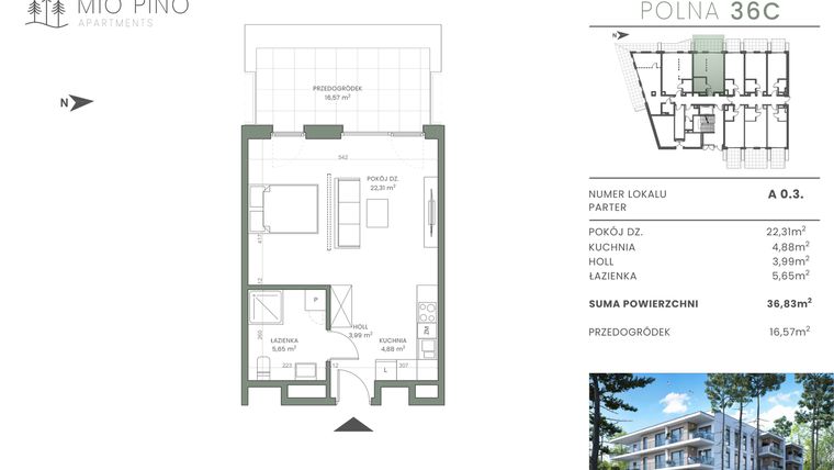 Rzut - Mieszkanie na sprzedaż 2 pokoje o powierzchni 36,83 m² - numer 0.3 w Mio Pino