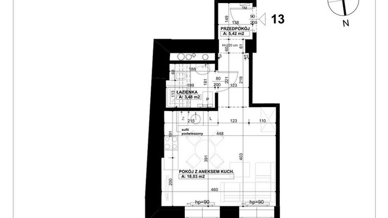 Rzut - Mieszkanie na sprzedaż 1 pokój o powierzchni 26,93 m² - numer 13 w Święty Marcin 65