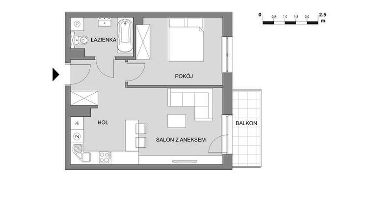 Rzut - Mieszkanie na sprzedaż 2 pokoje o powierzchni 43,88 m² - numer C2.3 w Osiedle Aleksandria II - budynek B
