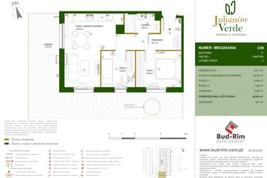 Rzut - Mieszkanie na sprzedaż 3 pokoje o powierzchni 49,06 m² - numer 9 w Julianów Verde