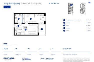 Rzut - Mieszkanie na sprzedaż 2 pokoje o powierzchni 46,29 m² - numer 18B w Przy Bursztynowej