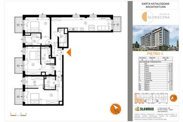 Rzut - Mieszkanie na sprzedaż 4 pokoje o powierzchni 137,33 m² - numer 83 w Osiedle Słoneczna