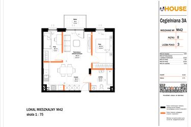 Rzut - Mieszkanie na sprzedaż 3 pokoje o powierzchni 54,1 m² - numer 42 w Osiedle StaLove etap II