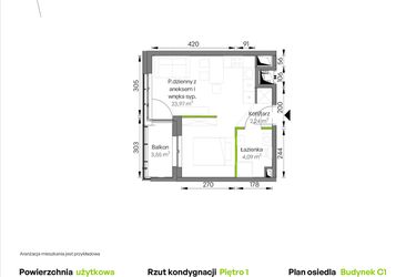 Rzut - Mieszkanie na sprzedaż 1 pokój o powierzchni 30,3 m² - numer C1/01/19 w WUWA Vita