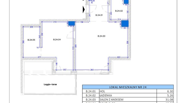 Rzut - Mieszkanie na sprzedaż 2 pokoje o powierzchni 68,52 m² - numer B.24 w Gaja Park