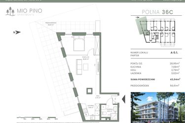 Rzut - Mieszkanie na sprzedaż 2 pokoje o powierzchni 43,04 m² - numer 0.1 w Mio Pino