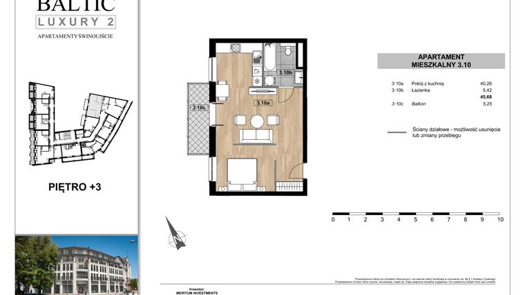 Rzut - Mieszkanie na sprzedaż 1 pokój o powierzchni 45,68 m² - numer 3.10 w Baltic Luxury 2