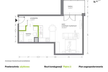 Rzut - Mieszkanie na sprzedaż 1 pokój o powierzchni 40,77 m² - numer A.036 w Żabiniec Vita