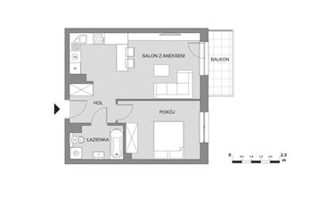 Rzut - Mieszkanie na sprzedaż 2 pokoje o powierzchni 43,89 m² - numer C5.2 w Osiedle Aleksandria II - budynek B