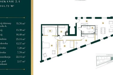 Rzut - Mieszkanie na sprzedaż 4 pokoje o powierzchni 141,66 m² - numer 2.4 w New Iron