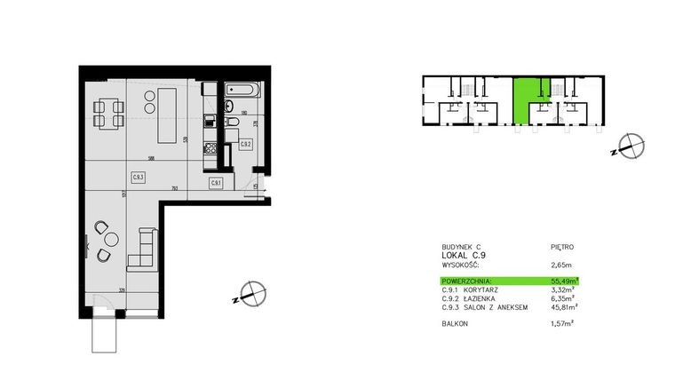 Rzut - Mieszkanie na sprzedaż 1 pokój o powierzchni 55,55 m² - numer C.9 w Pawia od Nowa