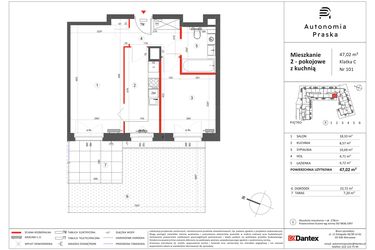 Rzut - Mieszkanie na sprzedaż 2 pokoje o powierzchni 47,02 m² - numer 101 w Autonomia Praska