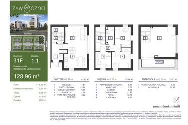 Rzut - Dom na sprzedaż 5 pokoi o powierzchni 128,96 m² - numer 31F w Osiedle Żywiczna