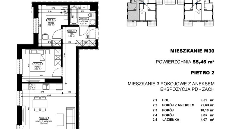 Rzut - Mieszkanie na sprzedaż 3 pokoje o powierzchni 55,45 m² - numer C2-M30 w Stacja Łódź V – etap C2