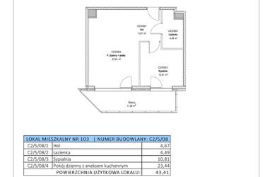 Rzut - Mieszkanie na sprzedaż 2 pokoje o powierzchni 43,41 m² - numer C2/5/08 w Chylońska STO10 etap III