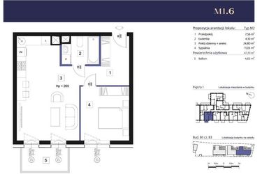 Rzut - Mieszkanie na sprzedaż 2 pokoje o powierzchni 47,51 m² - numer B3 – M1.6 w Primacasa