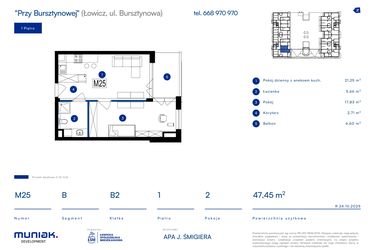 Rzut - Mieszkanie na sprzedaż 2 pokoje o powierzchni 47,45 m² - numer 25B w Przy Bursztynowej